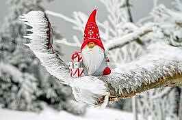 What are the benefits of moving home in the winter?