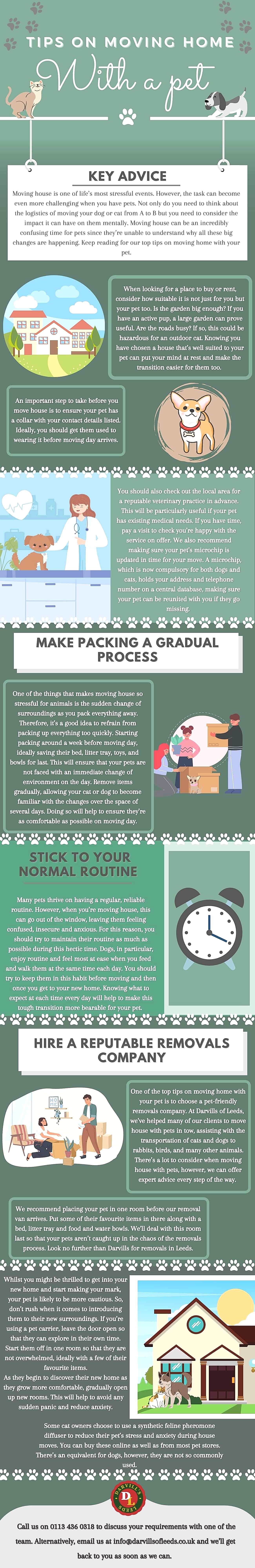 tips on moving home with a pet